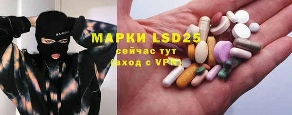 мяу мяу мука Абаза