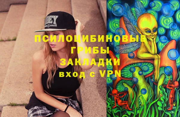 мяу мяу мука Абаза