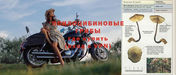 мяу мяу мука Абаза