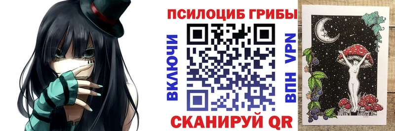 Псилоцибиновые грибы Psilocybe  Тында 